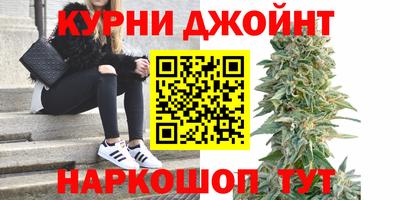 дживик Малгобек